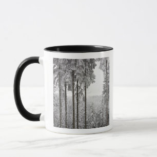 Evergreen forest in winter mug