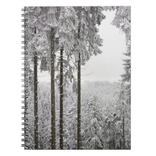 Evergreen forest in winter notebook