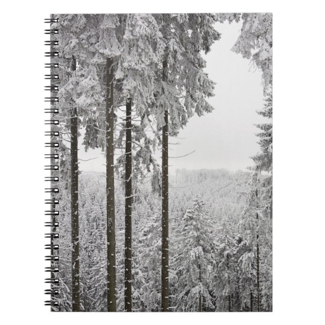 Evergreen forest in winter notebook (Front)