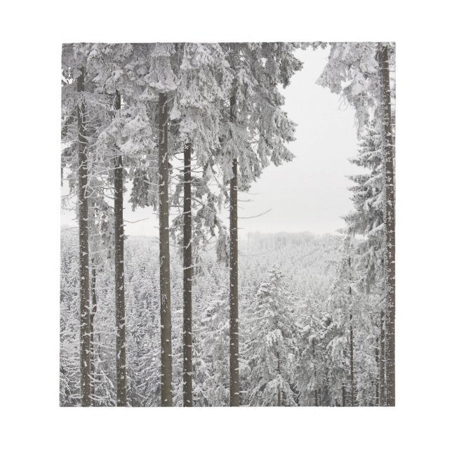 Evergreen forest in winter notepad (Front)