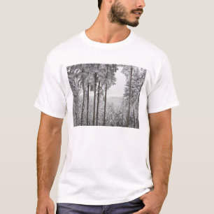 Evergreen forest in winter T-Shirt