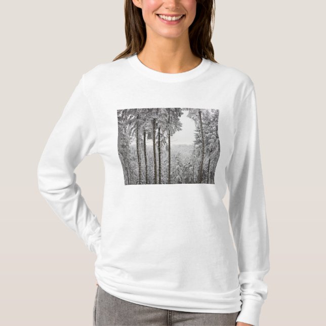 Evergreen forest in winter T-Shirt (Front)