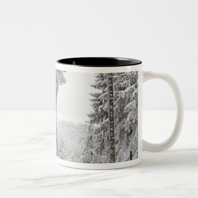Evergreen forest in winter Two-Tone coffee mug (Right)