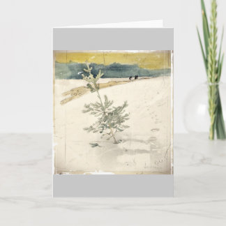 Evergreen Holiday Card