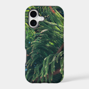 Evergreen pine-tree conifer