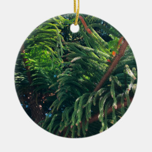 Evergreen pine-tree conifer ceramic tree decoration