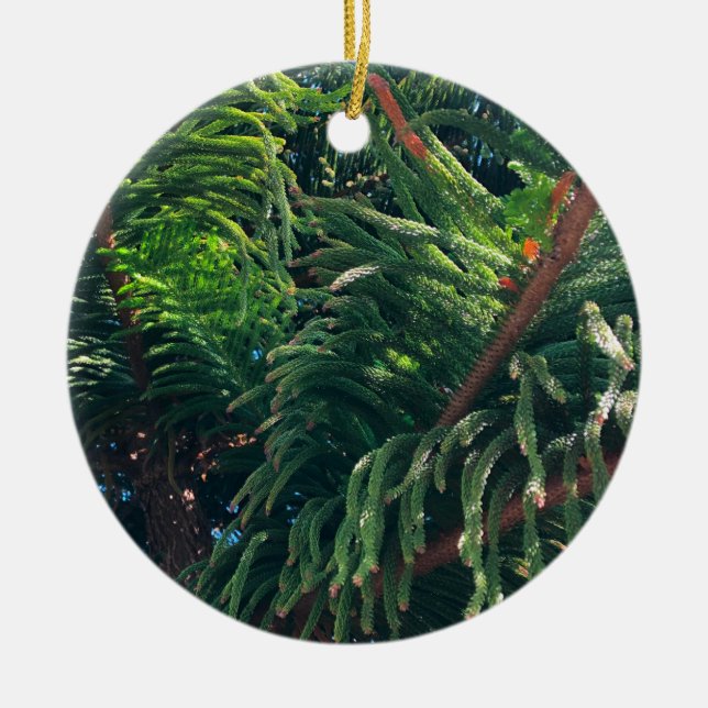 Evergreen pine-tree conifer  ceramic tree decoration (Front)
