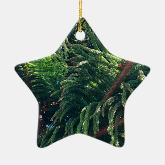 Evergreen pine-tree conifer  ceramic tree decoration (Front)