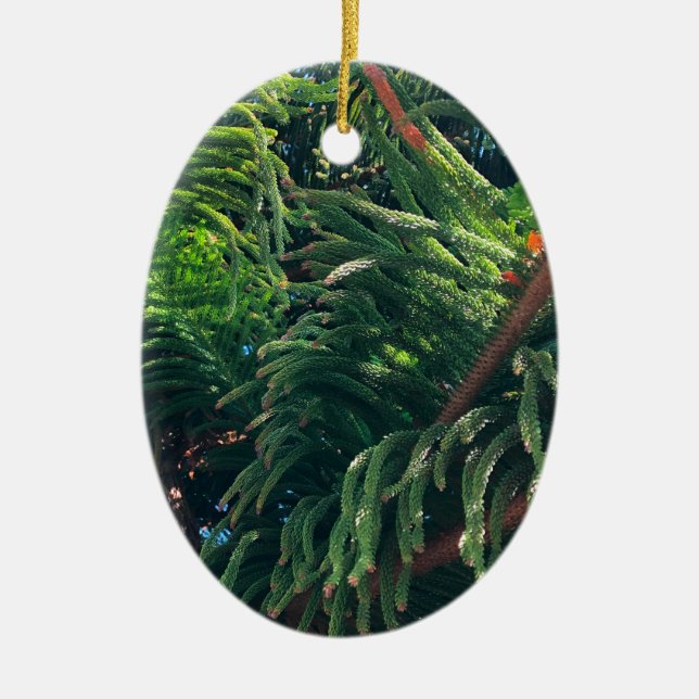 Evergreen pine-tree conifer  ceramic tree decoration (Front)