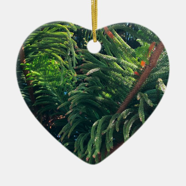 Evergreen pine-tree conifer  ceramic tree decoration (Front)