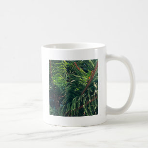 Evergreen pine-tree conifer  coffee mug