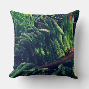 Evergreen pine-tree conifer  cushion