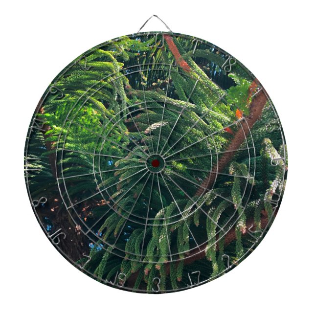 Evergreen pine-tree conifer  dartboard (Front)