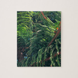 Evergreen pine-tree conifer  jigsaw puzzle