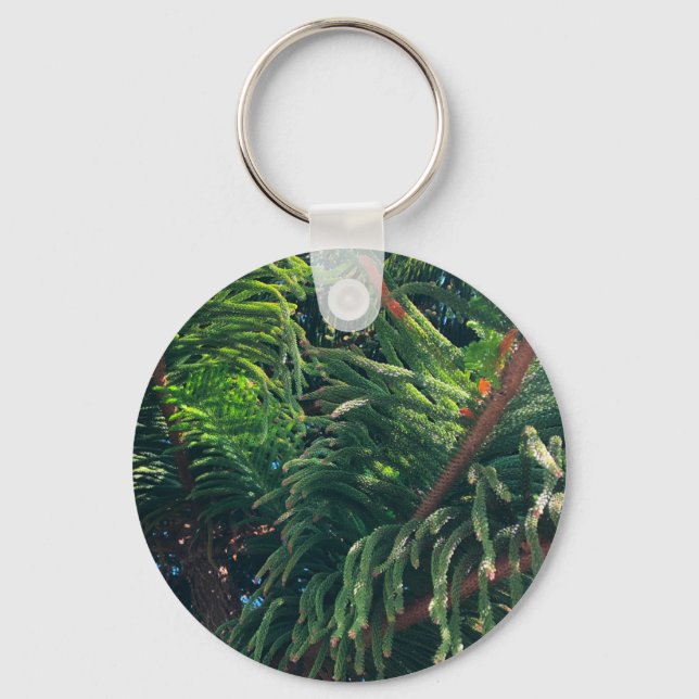 Evergreen pine-tree conifer  key ring (Front)