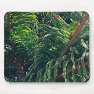 Evergreen pine-tree conifer mouse mat