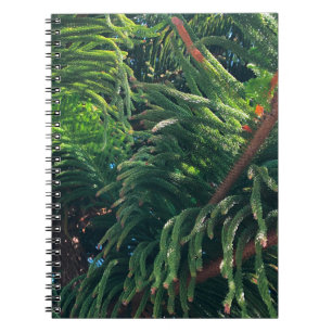 Evergreen pine-tree conifer notebook