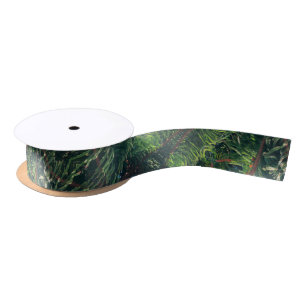 Evergreen pine-tree conifer  satin ribbon