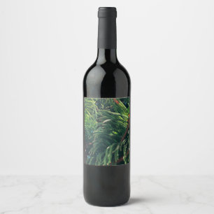 Evergreen pine-tree conifer  wine label