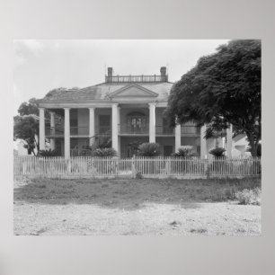 Evergreen Plantation Poster