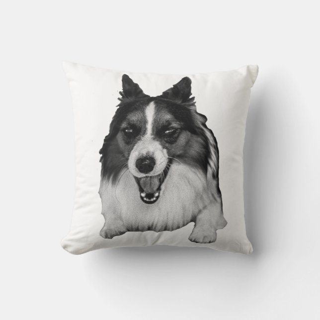 Evergreen Sofa Accent Cushion (Front)