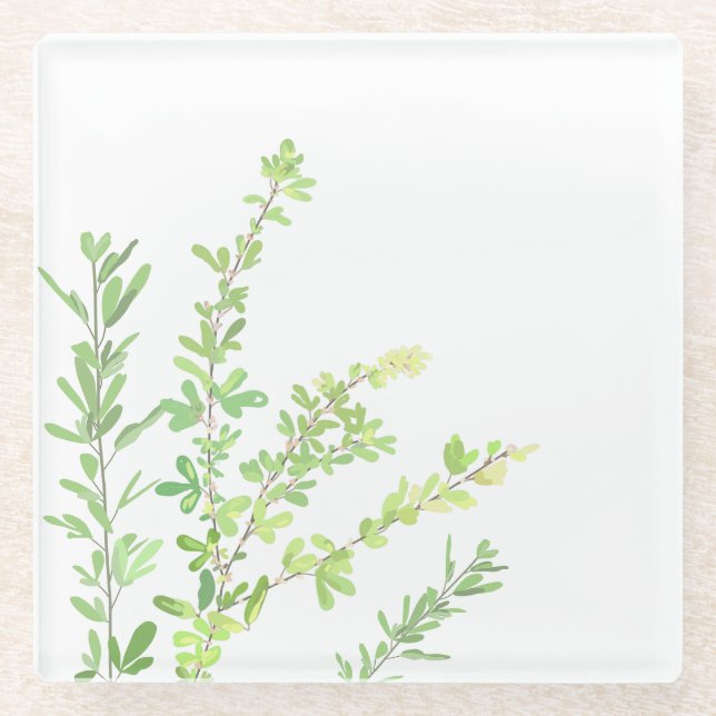 Evergreen springs Nature Greenery Glass Coaster (Front)