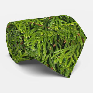 Evergreen Tree Branches Tie