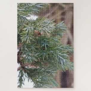 Evergreen tree needles in winter detail jigsaw puzzle