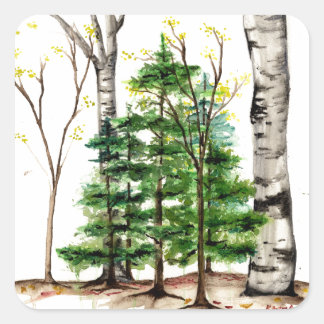 evergreen trees sticker