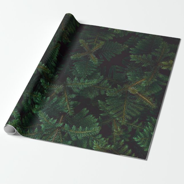 Evergreen  wrapping paper (Unrolled)