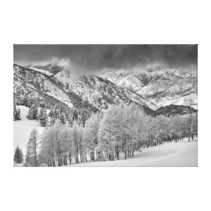 Evergreens and Aspen trees in a snow storm Canvas Print