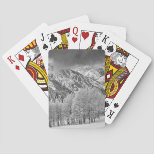 Evergreens and Aspen trees in a snow storm Playing Cards