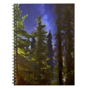 Evergreens In The Moonlight Notebook