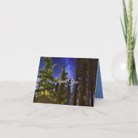 Evergreens In The Moonlight