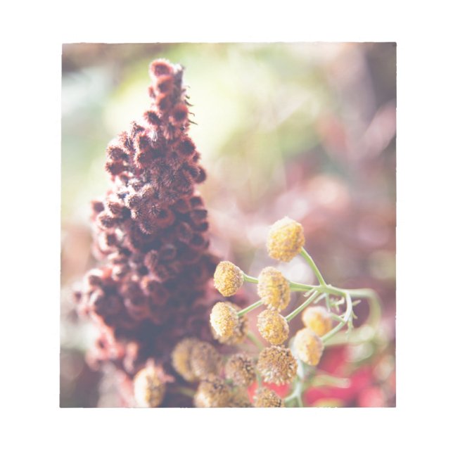 everlasting flowers notepad (Front)