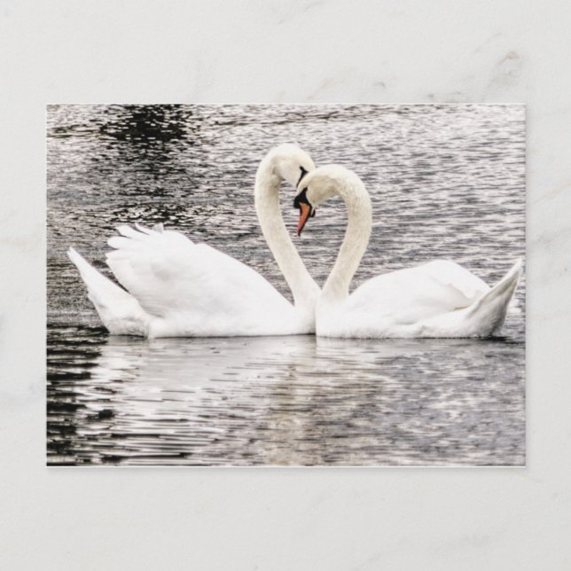 Everlasting Love Postcard (Front)