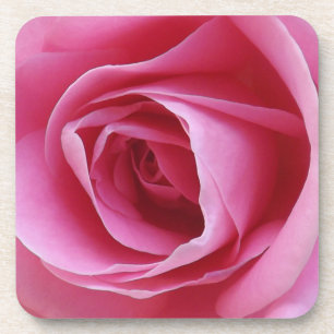 Everlasting Pink Coasters