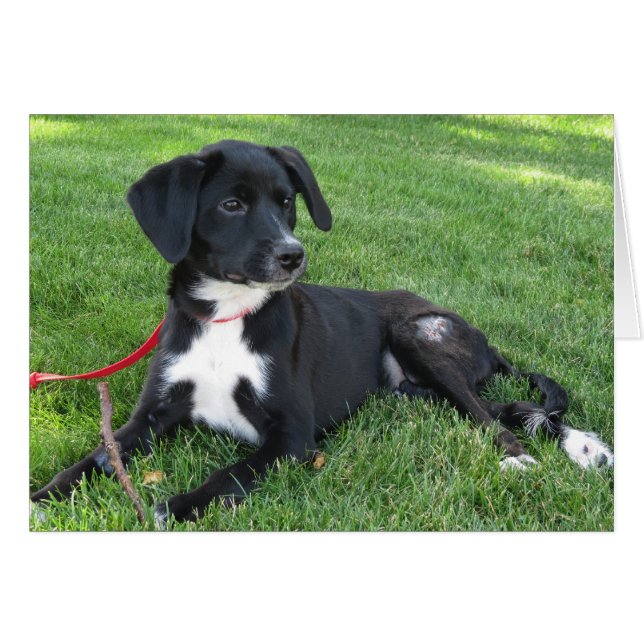 Everly! (Front Horizontal)