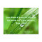 Every Blade of Grass Quote Postcard
