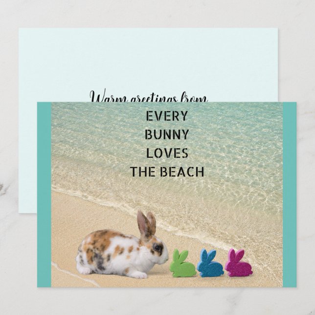 Every Bunny Loves The Beach Easter from Florida  Holiday Card (Front/Back)