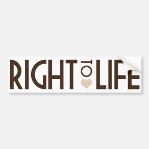 Every Child has a RIGHT TO LIFE Bumper Sticker