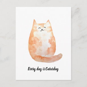"Every day is Caturday" Postcard