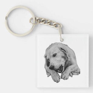 Every Day Is Chew Day Key Ring