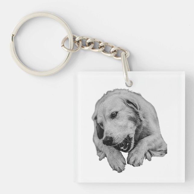 Every Day Is Chew Day Key Ring (Front)