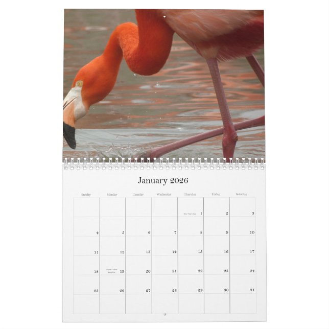 Every Day is Flamingo Friday - calendar (Jan 2026)