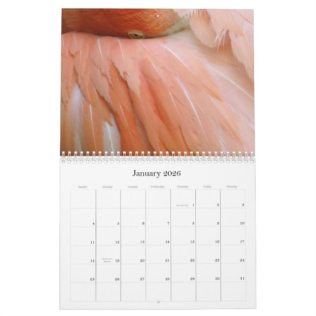 "Every day is Flamingo Friday" calendar (Jan 2026)
