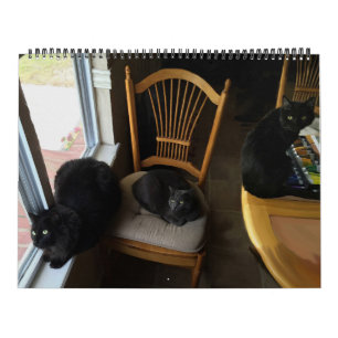 Every Day Is Saturday Custom Cat Calendar