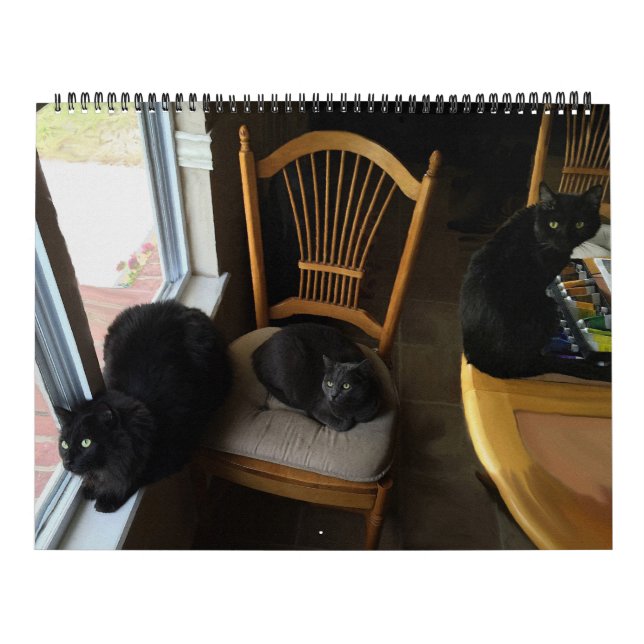 Every Day Is Saturday Custom Cat Calendar (Cover)