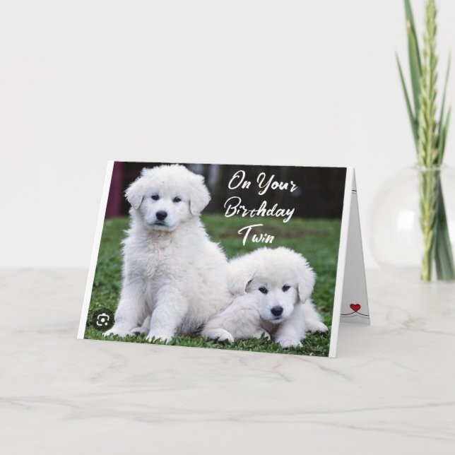 EVERY DAY IS "SPECIAL WITH YOU" TWIN'S BIRTHDAY CARD (Front)
