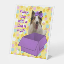 Every Day with a dog is a gift